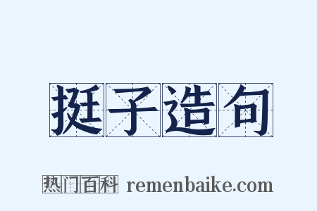 挺子造句是什么意思的图片